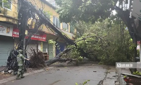 Bão số 3 đến gần, nhà mạng được lệnh gia cố hạ tầng viễn thông