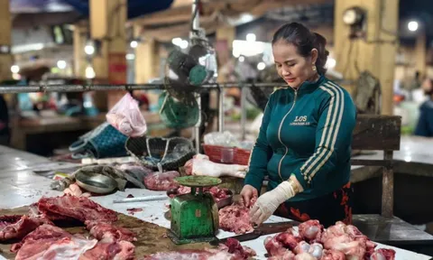 Thịt lợn ế chưa từng có