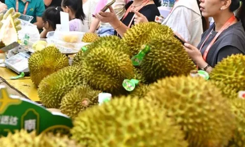 Tin vui cho sầu riêng Đông Nam Á: Nhu cầu sầu riêng của Trung Quốc bùng nổ trở lại, một nhà cung cấp thị phần tăng gấp 10 lần kể từ đầu năm