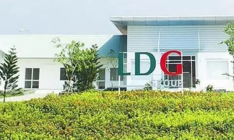LDG báo lỗ hơn 66 tỷ đồng trong quý 2/2025, nối tiếp chuỗi 9 quý lỗ liên tiếp