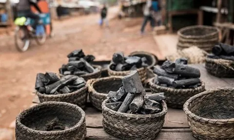 Nga đưa sang Việt Nam hàng triệu tấn 'vàng đen' với giá siêu rẻ: thuế nhập khẩu 5%, Moscow nắm trữ lượng đủ dùng trong 500 năm