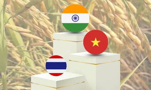 Không phải sầu riêng, Việt Nam vượt mặt Thái Lan đứng thứ 2 thế giới về xuất khẩu một mặt hàng tỷ đô, đạt kỷ lục gần 5 triệu tấn trong nửa đầu năm