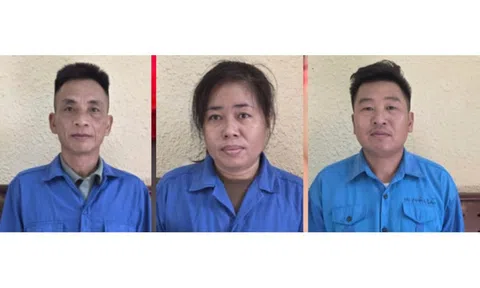 Khởi tố 2 giám đốc, 1 kế toán vụ khai thác đá trái phép ở dự án Shinhan