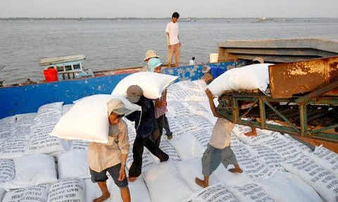 Vì sao đề nghị bỏ xuất khẩu gạo khỏi danh mục kinh doanh có điều kiện?