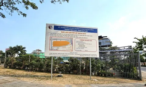 Đà Nẵng đấu giá khu đất "kim cương" với giá khởi điểm hơn 616 tỷ đồng