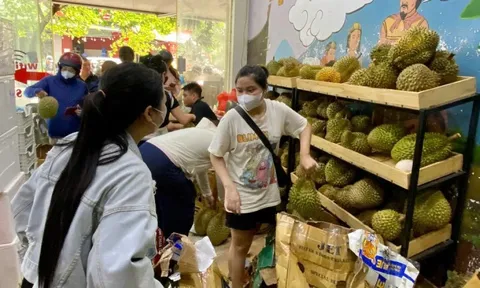 Sầu riêng giá rẻ 'đổ bộ' Hà Nội, 1 ngày bán gần 3 tấn