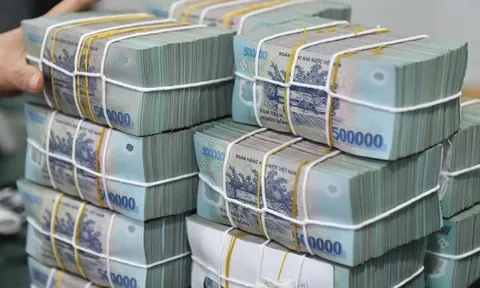 Thanh tra NHNN cảnh báo rủi ro một số khoản vay tại ngân hàng chi nhánh Đà Nẵng