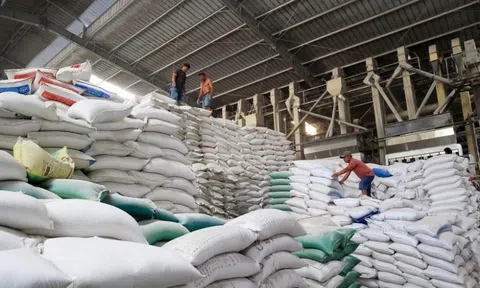 Doanh nghiệp gạo "cầu cứu" Bộ Công Thương