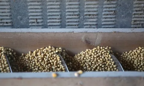 Trung Quốc xoay trục xuất khẩu mặt hàng then chốt, khẳng định sẵn sàng hy sinh công suất để không mua hàng Mỹ