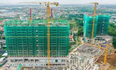 Bảng giá đất theo chu kỳ 5 năm: Lời giải cho bài toán ổn định chính sách
