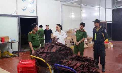 Khởi tố nữ giám đốc “biến” hàng nghìn tấn thịt trâu Ấn Độ thành trâu gác bếp Hà Giang