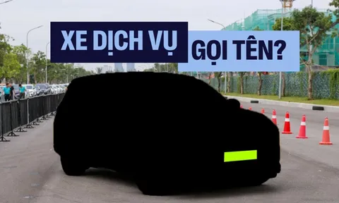 Xe cho dịch vụ: 2025 không gọi tên mẫu xe này thì còn xe nào nữa?
