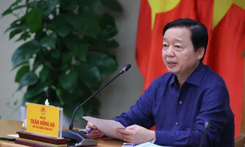 Ngăn dịch tả lợn châu Phi: Kiện toàn lực lượng thú y ở cơ sở, xây dựng hướng dẫn phòng dịch mới