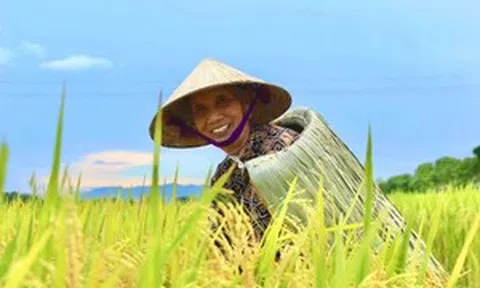 Áo tơi Yên Lạc: Giữ hồn làng trong từng mũi chằm
