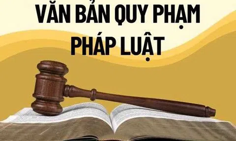 Bảo đảm chất lượng các dự án luật, đẩy nhanh tiến độ soạn thảo văn bản quy định chi tiết