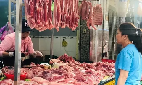 Giá thịt lợn lao dốc