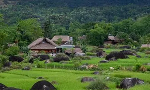 Vẻ đẹp yên bình của ngôi làng người Tày ở Tuyên Quang
