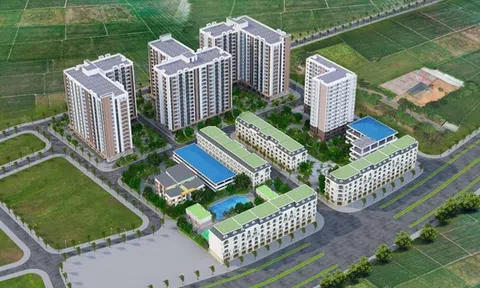 Thanh Hóa đấu giá hai dự án chung cư hỗn hợp trị giá gần 800 tỷ đồng