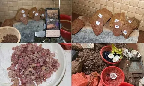 Triệt phá đường dây lừa đảo livestream bán đá "đổ thạch", chiếm đoạt 10 tỷ đồng