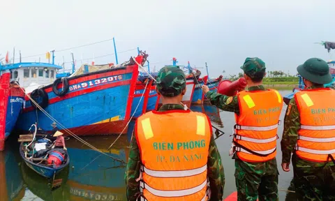 Đà Nẵng cấm biển, sẵn sàng sơ tán người dân khỏi khu vực nguy hiểm