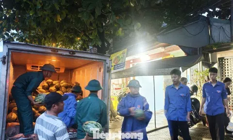 Bão số 5 áp sát, cả phường ngược xuôi giải cứu dưa hấu