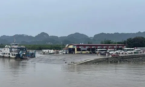 Khuyến khích giảm 50% giá phòng cho du khách mắc kẹt do bão số 5 tại Cát Bà