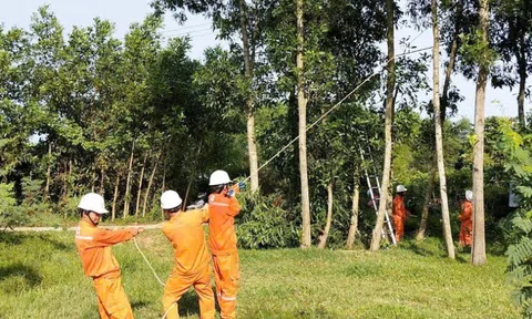 Ngành điện miền Trung triển khai ứng phó khẩn cấp với bão số 5