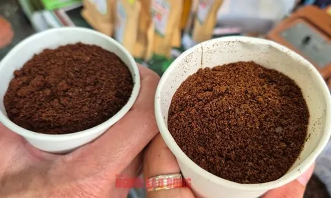 Giá cà phê hôm nay 26-8: Sụt giảm, kho hàng cạn kiệt