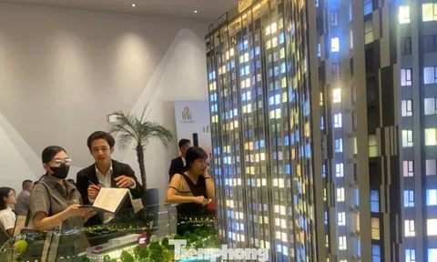 Làm gì để chặn môi giới bất động sản 'lùa gà' khách hàng?