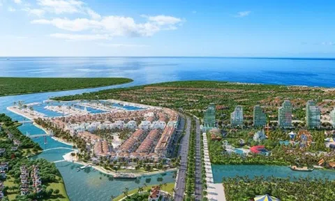 Thanh Hoá ra "tối hậu thư" với cụm công nghiệp hơn 49ha chậm tiến độ
