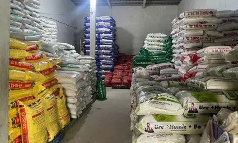 Phát hiện một công ty mua bán hơn 115 tấn phân bón chưa có quyết định lưu hành