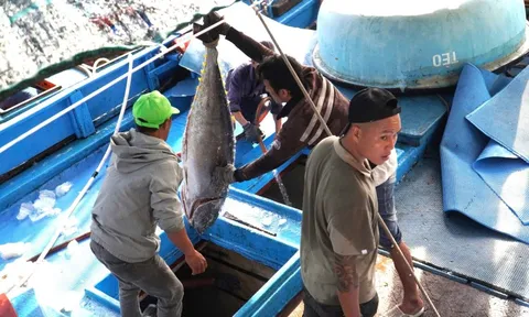 Khánh Hòa phát động đợt thi đua cao điểm chống IUU