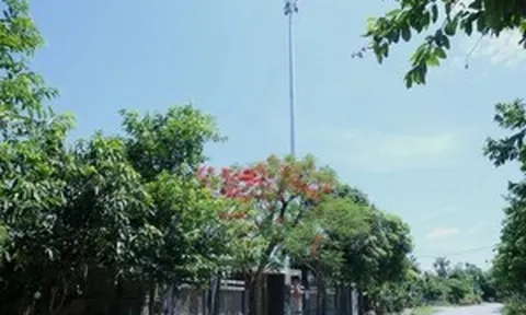 Hà Tĩnh loạn trạm phát sóng không phép