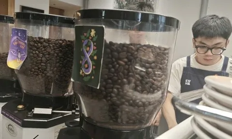 Giá cà phê hôm nay 30-8: Quay lại đà tăng