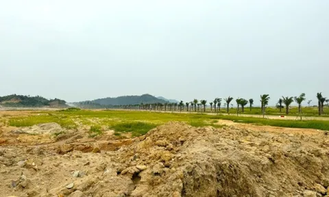 Tăng tốc triển khai Khu công nghiệp Tân Đức 