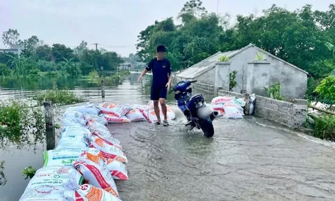 Hà Nội: Xác minh trường hợp phá bao cát chắn lũ trên đê