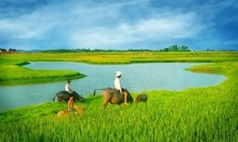 Vùng trời quê hương