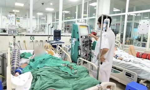 Bị gai đâm, người đàn ông sốc nhiễm trùng, nguy kịch tính mạng