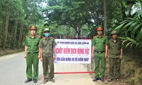 Miền Trung kiểm soát dịch tả lợn châu Phi, hướng dẫn người dân tái đàn an toàn