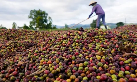 Một mặt hàng của Việt Nam lập kỷ lục, Campuchia bất ngờ thành 'khách VIP'