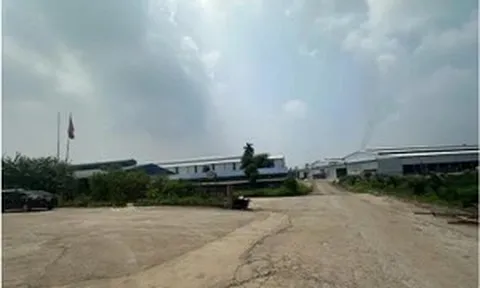 Hợp tác xã ở Phú Thọ bị phạt 320 triệu đồng do vi phạm quy định về môi trường