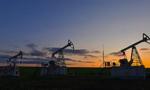 Bị áp thuế 50% vì mua dầu Nga, Ấn Độ giảm mạnh mua dầu Mỹ - chốt đơn từ nhà cung cấp mới: Hơn 3 triệu thùng đã được giao dịch, sẽ cập bến từ cuối tháng 10