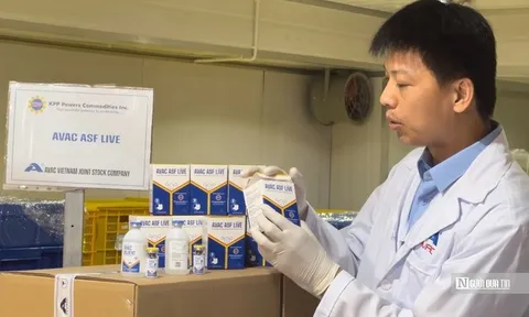 Vắc-xin dịch tả lợn châu Phi của Việt Nam tiếp tục chinh phục thị trường Philippines