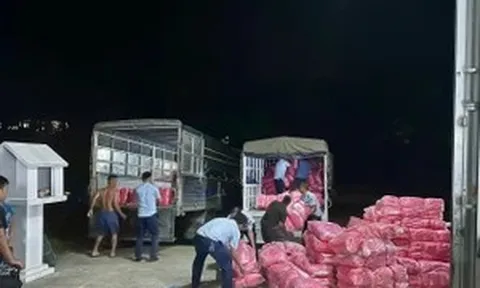 Thu giữ hơn 300.000 sản phẩm bỉm, băng vệ sinh giả nhãn hiệu nổi tiếng