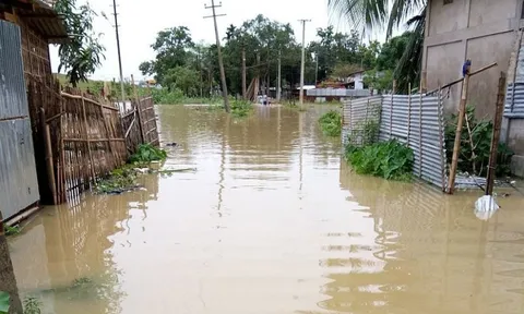 Ứng phó lũ, bảo đảm an toàn đê điều