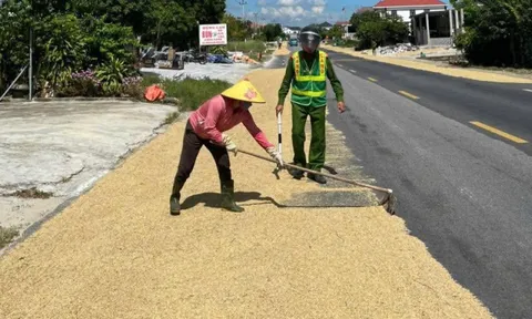 Phơi lúa ngoài đường gây hậu quả nghiêm trọng có thể bị phạt tù