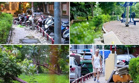 Cảnh hoang tàn, xuống cấp tại vườn hoa 52 tỷ ở Hà Nội