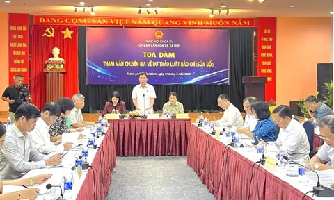 Tham vấn chuyên gia về dự thảo Luật Báo chí (sửa đổi)