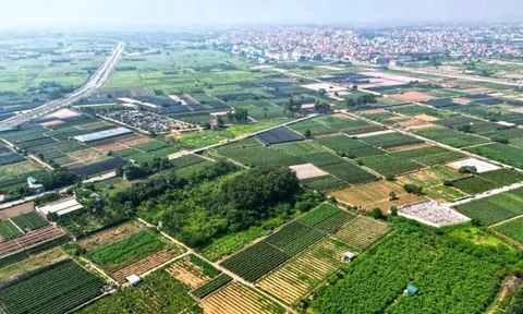 Hưng Yên đấu giá 57 thửa đất, giá khởi điểm từ 2,4 tỷ đồng/thửa