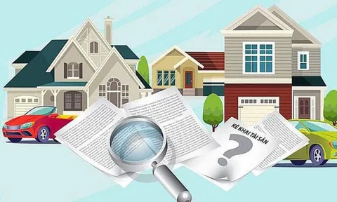 Thanh tra Chính phủ đề xuất rõ hơn về các cơ quan kiểm soát tài sản, thu nhập